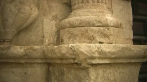 Alamo Stock Footage 562822