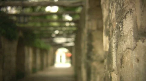 Alamo Stock Footage 562868
