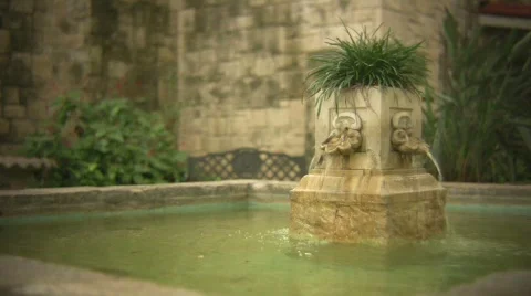 Alamo Stock Footage 562872