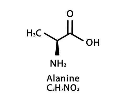 Alanine molecular structure. Alanine skeletal chemical formula. Chemical Stock Illustration