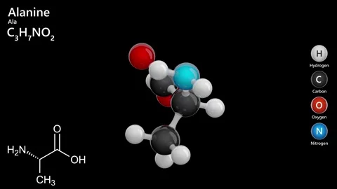Alanine or Ala. Non-essential amino acid. Black background. 3D render Stock Footage 291075745