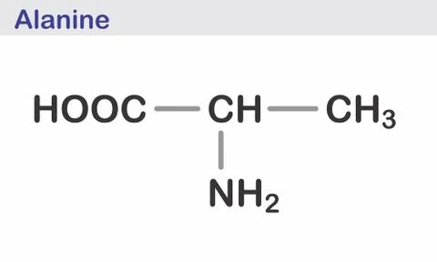 Alanine skeletal formula Stock Illustration
