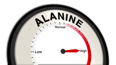 Alanine Text or Word Level Low Normal High - Barometer or Tachometer Concept Stock Footage 308763874