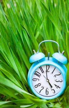 Alarm clock, blue clock on background of green grass Foto stock