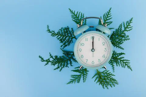 Alarm clock, cypress branches on blue background. Christmas countdown concept 스톡 사진