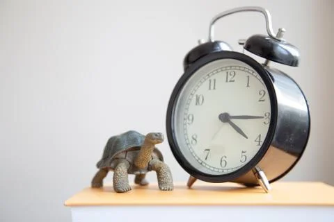 Alarm clock 库存照片