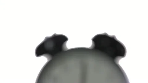 Alarm clock ringing Stockbeeldmateriaal 18187957