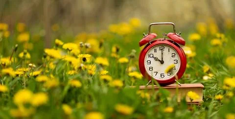 Alarm clock with spring flowers, daylight savings time banner Stock Photos