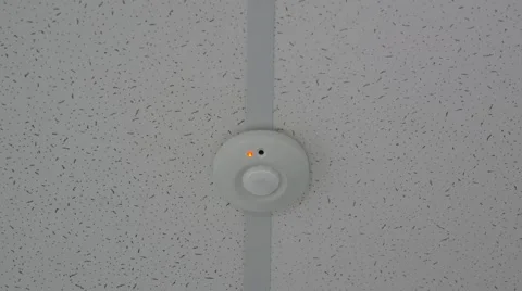 The alarm is triggered the safety sensor on the ceiling 動画素材 55536982
