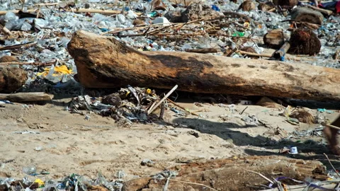 Alarming Plastic Pollution: Excessive Pl... | Stock Video | Pond5