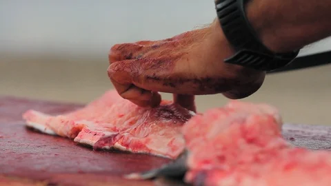 Alaska. Adventurer preparing a salmon for drying. Video stock 116828672
