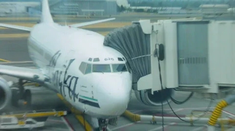 Alaska Airlines at Gate Stock Footage 804679