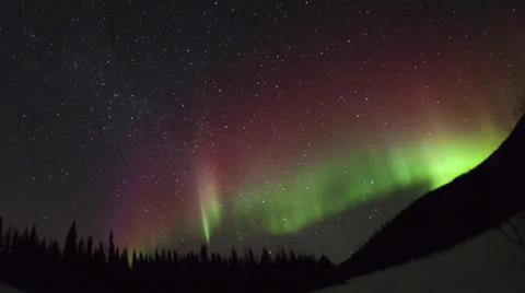 Alaska Aurora Borealis explodes through trees #6 Stock Footage 36294415