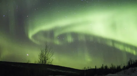Alaska Aurora Borealis explodes through trees #5 Stock Footage 36295861