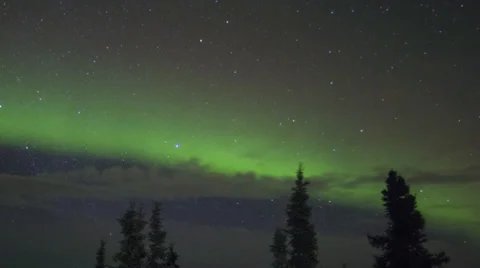 Alaska Aurora Borealis explodes through trees #3 Stock Footage 36391000
