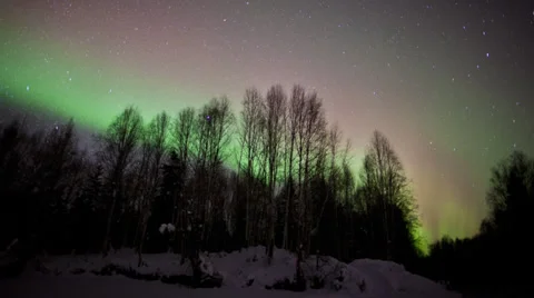 Alaska Aurora Borealis explodes through trees #1 Stock Footage 36564391