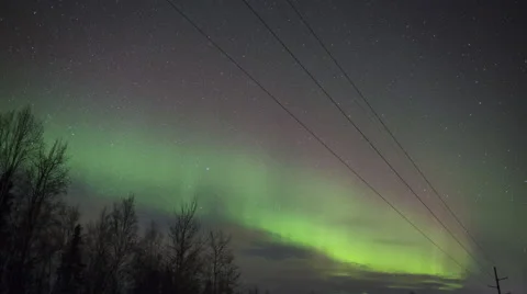 Alaska Aurora Borealis explodes through trees Stock Footage 61772874