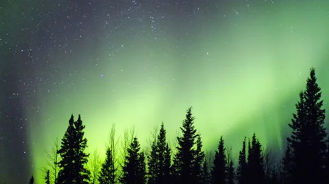 Alaska Aurora Borealis Explodes Through Trees Stock Footage 61926519