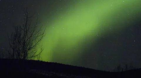 Alaska Aurora Borealis explodes through trees Stock Footage 61957214