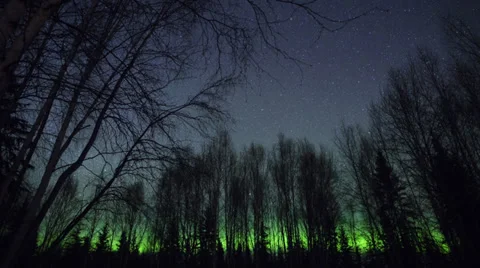 Alaska Aurora Borealis through Trees #6 Stock Footage 36279486