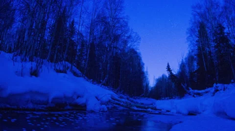 Alaska Aurora Borealis through trees #5, Day to Night Stock Footage 36281853