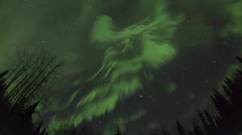 Alaska Aurora Borealis through trees #2; Night to Day Stock Footage 36308721