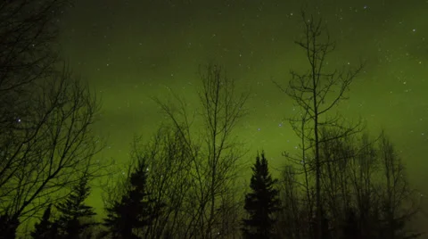 Alaska Aurora Borealis through trees #2 Stock Footage 36392066