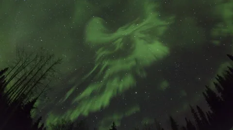Alaska Aurora Borealis through trees Night to Day Stock Footage 61783472