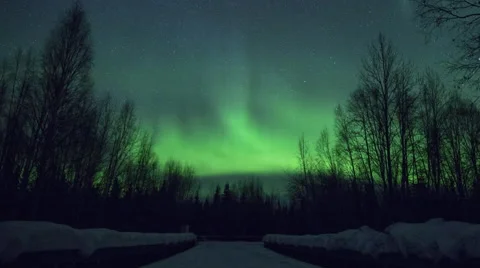 Alaska Aurora Borealis through Trees Stock Footage 61927225