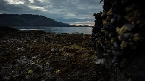 Alaska Beach Sunset Timelapse 스톡 동영상 310564669