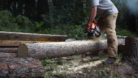 Alaska Chainsaw Log Ripping Stock Footage 250201109