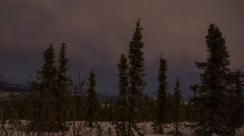 Alaska, Changing Sky Through the Trees Stock Footage 36284401