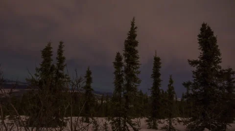 Alaska, Changing Sky Through the Trees Video stock 61769085