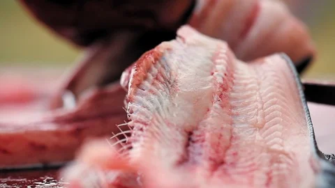 Alaska. Close up knife separating spine from meat. Stock-Footage 116827960