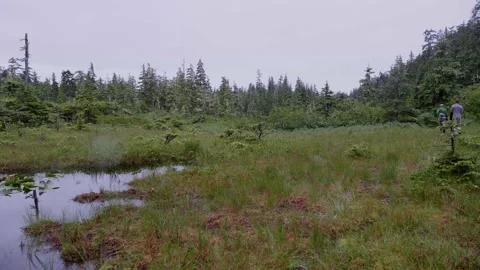 Alaska-Cordova-Eyak-River-Stock-9 Stock Footage 169744553