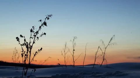 Alaska, Dusk #1 Stock Footage 36275183