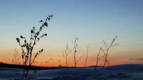 Alaska Dusk Stock Footage 61741595