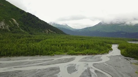 Alaska Exit Glacier Stream Stock-Footage 79474811