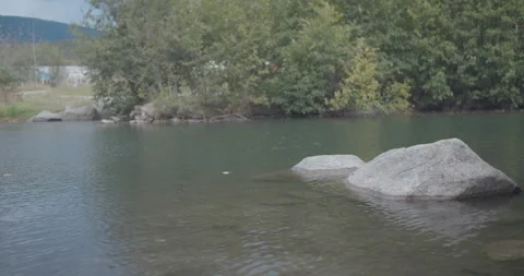 Alaska Floating Leaf Stock-Footage 197345847