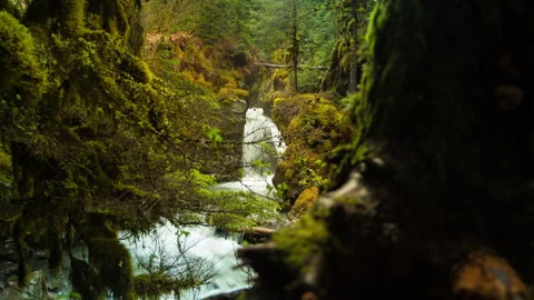 Alaska Forest Waterfall Timelapse Stock Footage 310563102