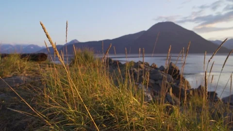 Alaska grass blowing in the wind Stock Footage 122107156