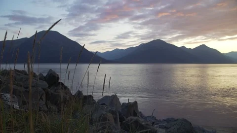 Alaska Grass at Sunset Stock Footage 122107145