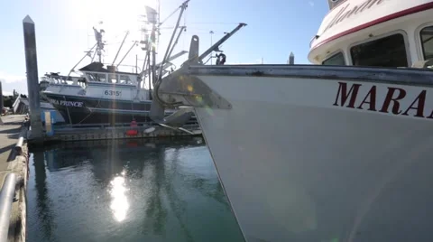 Alaska Harbor 1 Video stock 41828090