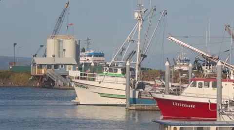 Alaska Harbor 2 Video stock 41828085