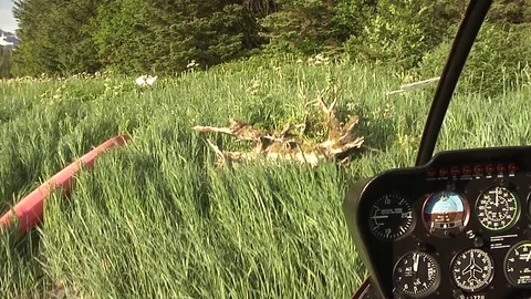 Alaska Helicopter Taking Off Stock Footage 72450152