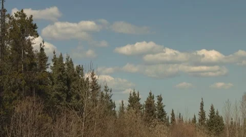 Alaska Highway Cloud Forest Timelapse Stock-Footage 7138652