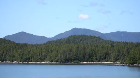 Alaska Inside Passage Forest Over Water 1 Vidéo 64274903
