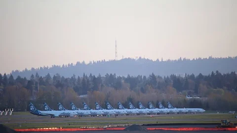 Alaska jets parked next to each other for storage during the COVID-19 pandemic. Stock Footage 128216523