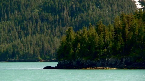 Alaska landscape from boat Stock Footage 40462503