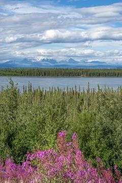 Alaska Mount Drum Stock Photos
